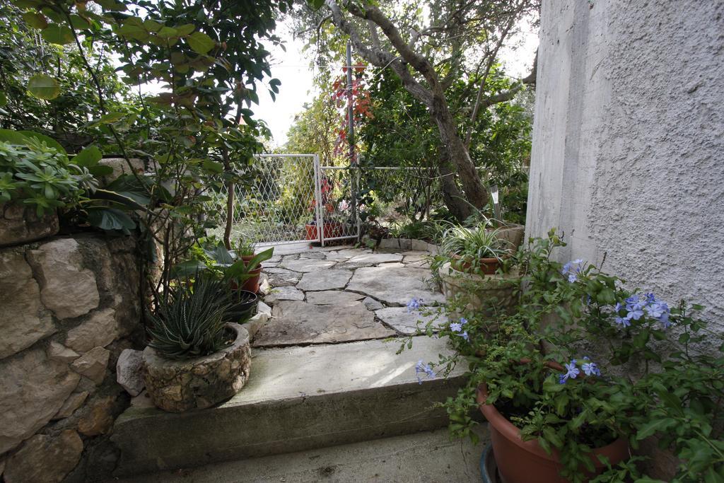 Apartments Delfin Tučepi Rom bilde